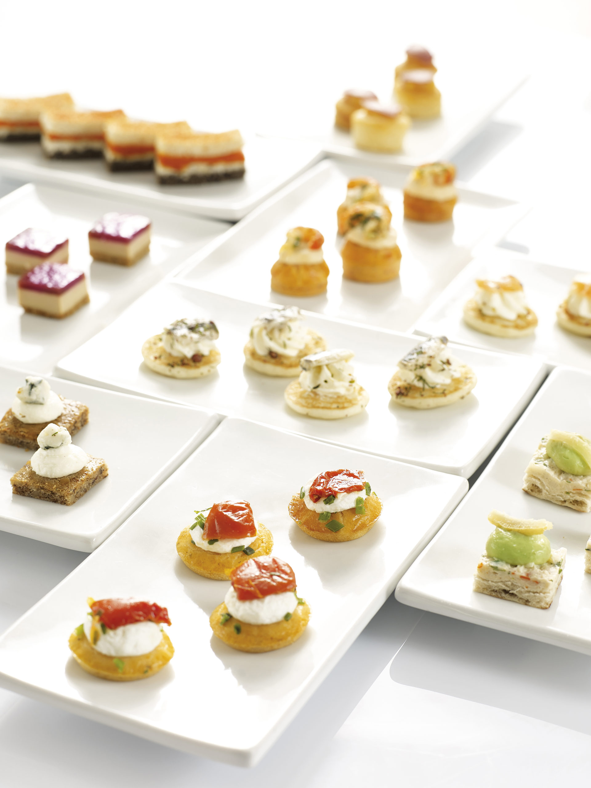 TS1021 CANAPES SALÉS TRADITION 1